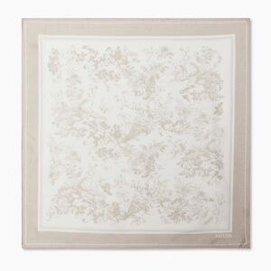 Aritzia Elite Silk Scarf.